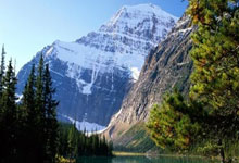 开云体育中国-威廉姆斯碾压迈凯伦，维斯塔潘刷新纪录