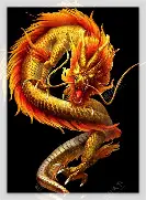 龙战虎争：球场上的强强对决！